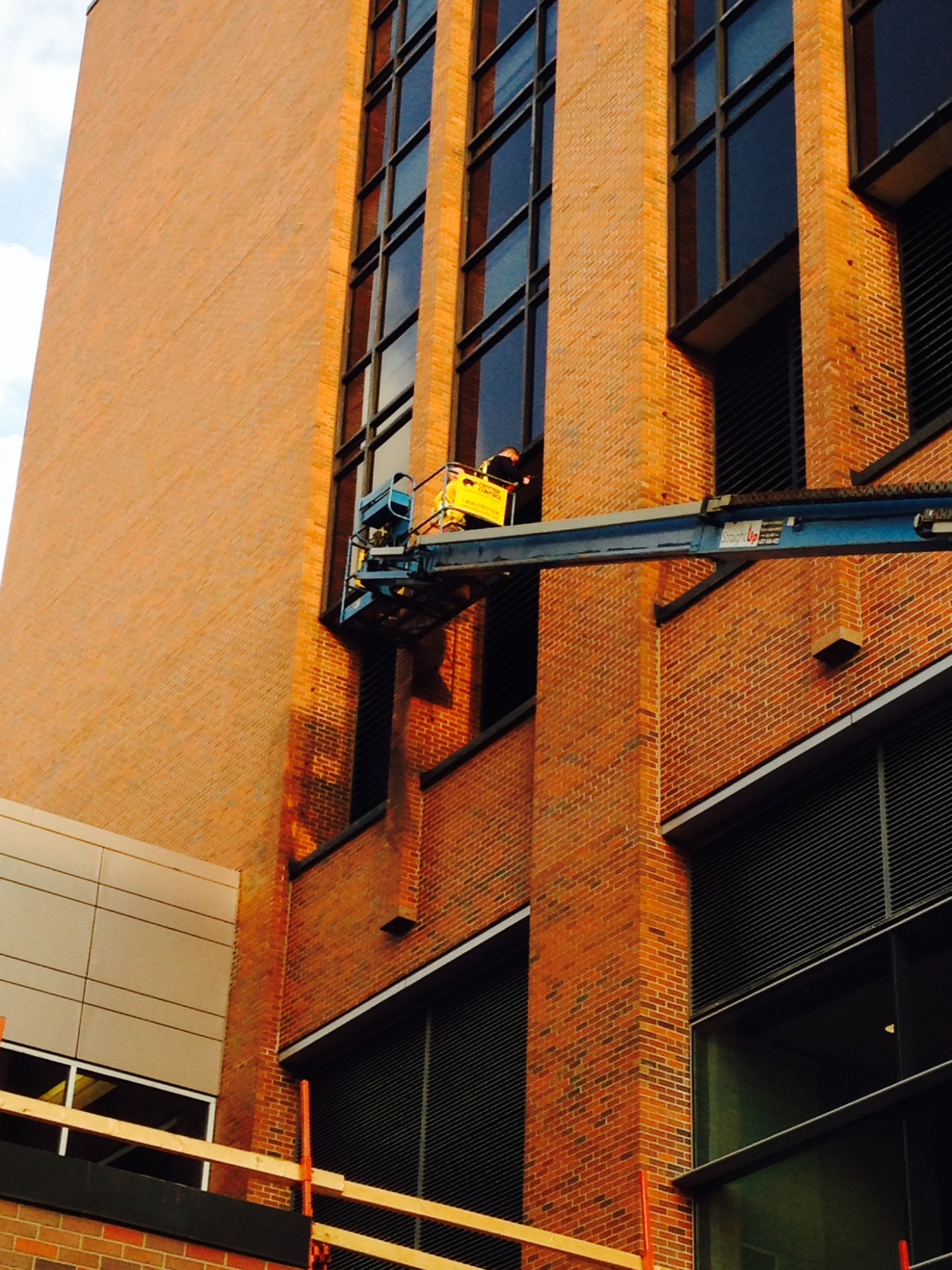 Commercial repair from wildlife damage in Grand Rapids building