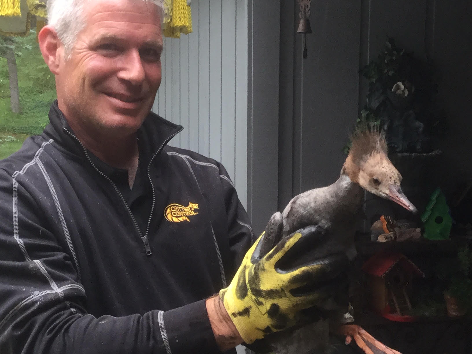 Critter Control technician holding removed wildlife.